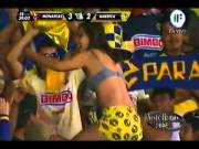 Soccer Fan Flashes Crowd.