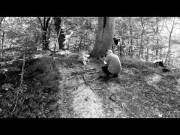 Nude Photoshoot With Hot Model In Forrest (Danish)