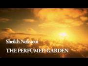 15Th Century Arabic Sex Manual