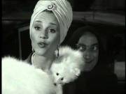 Out Takes From Young Frankenstein (No More Sad Stuff Please)