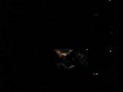 Trucker Spots A Driver &Amp;Quot;Playing With Her Titty Nipples&Amp;Quot; [Link @ ...