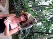 Monkey Sharking [0:28]