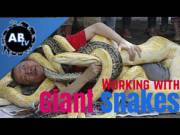 Christy Mack Loves Huge Snakes