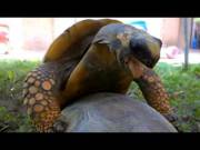 He's Very Vocal, But She Is Really Not Into It