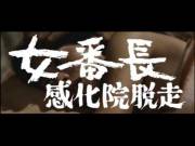 Pinky Violence: Essential Trailers (1970-1977)