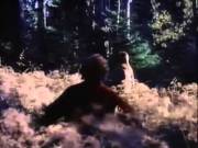 Sunburst (1975) Aka Slashed Dreams.