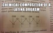 Orgasmic Chemistry