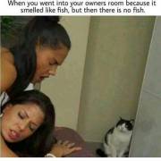 Pussy You Can Smell Pussy Not Fish