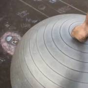 It's A Bird! It's A Plane! No Wait...