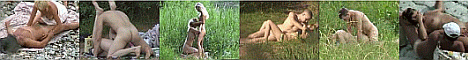 Beach voyeur tube. Free nudist streaming movies.